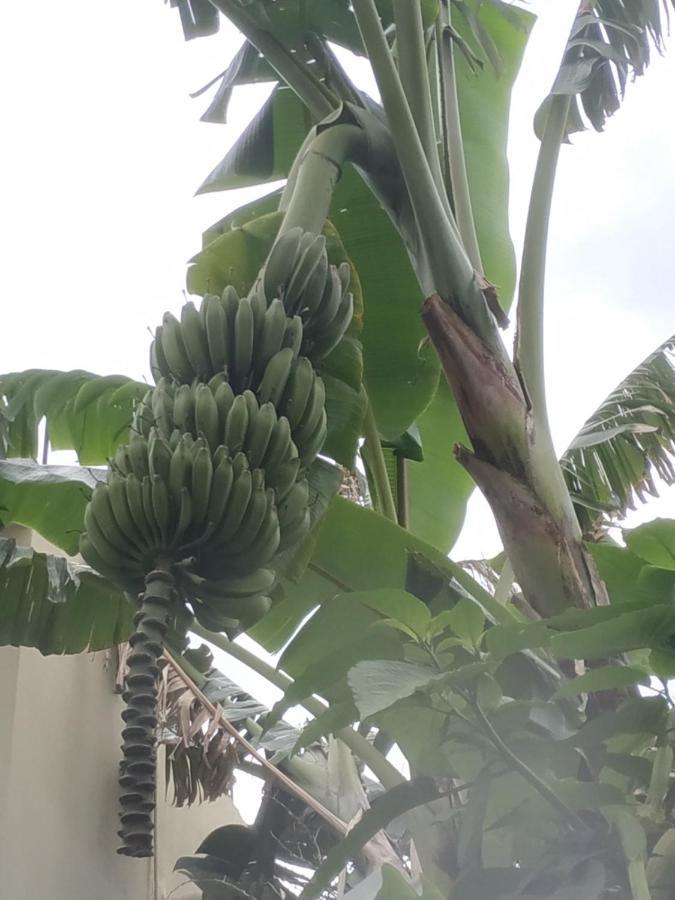 克里斯安迪别墅 帕尔加 外观 照片